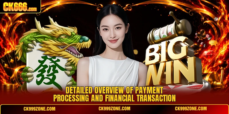 Detailed overview of payment processing and financial transaction
